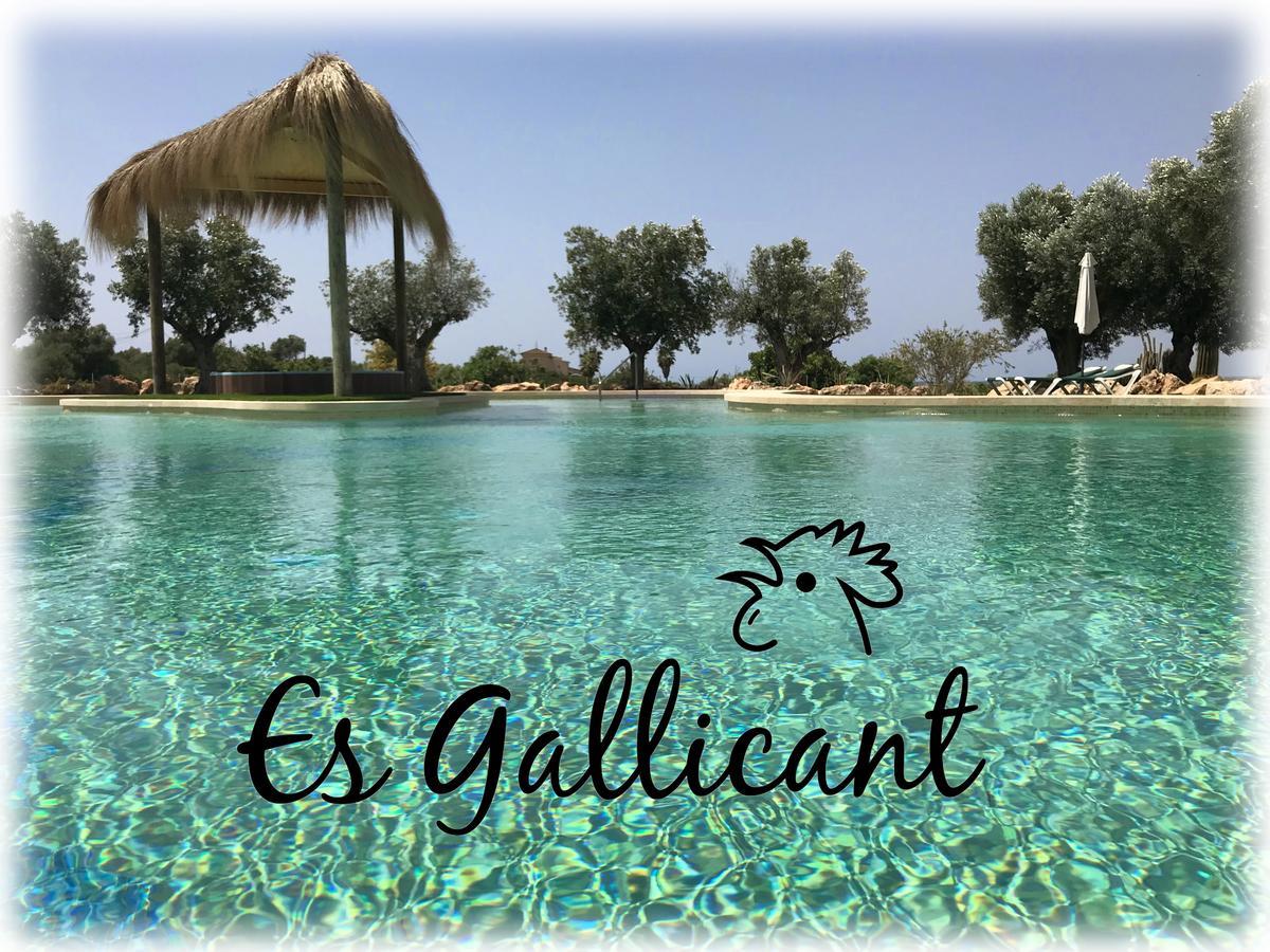 Agroturismo Es Gallicant Campos  Zewnętrze zdjęcie